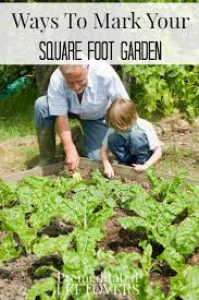 ways to mark your square foot garden