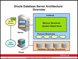 basic oracle database concepts and