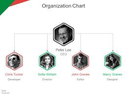 Organization Chart Ppt Powerpoint Presentation Ideas Tips