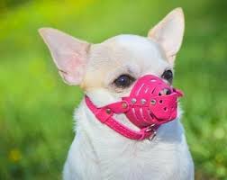 Check spelling or type a new query. Dog Muzzle Etsy