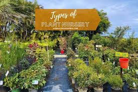 3 types of plant nursery 11 more