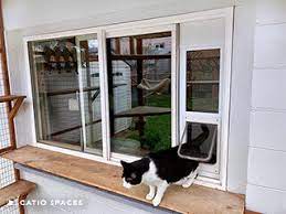 cat door for your catio by catio spaces