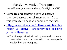 Cells And Cellular Transport Ppt Download
