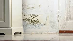Removing Mold From Drywall A How To