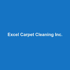 15 best seattle carpet cleaners