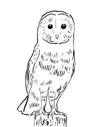 Happy barn coloring page 78 pages. Barn Owl Coloring Page Art Starts