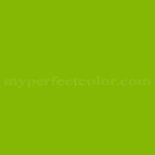 Myperfectcolor Microsoft Green