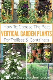 Vertical Garden Plants