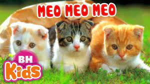 Meo Meo Meo ♫ Chú Mèo kêu meo meo ♫ Nhạc Thiếu Nhi Cho Bé - YouTube