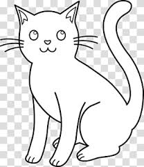black and white cat transpa