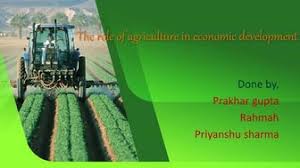 Agriculture productivity in India ...