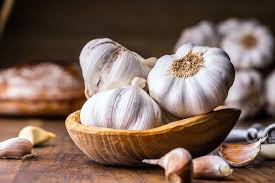 what pests does garlic keep away