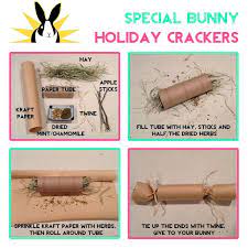 We know that rabbits are full of energy and want to be entertained, just like a dog, cat, or us humans. Pin By Bailing Out Benji On Diy Animal Stuff Diy Bunny Toys Pet Rabbit Toys Rabbit Toys