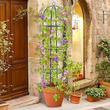 Metal Garden Obelisk Trellis Plant