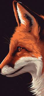 aesthetic fox dark wallpaper fox