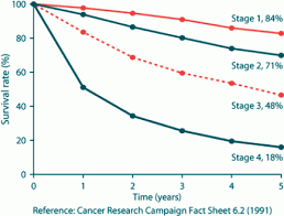 5 Year Survival Rate Brain Cancer