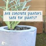 do-concrete-planters-need-to-be-sealed
