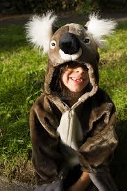 in koala costume picture and hd