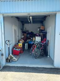 storage auction in carson city