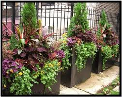 hugedomains com potted plants outdoor