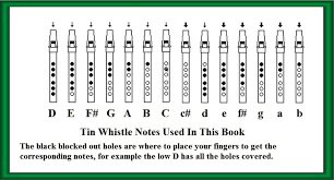 Easy To Play Tin Whistle Songs For Beginners Irish Folk Songs