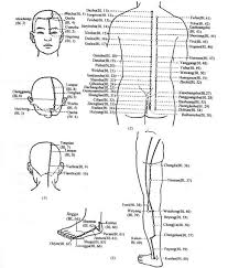 Acupuncture Com Acupuncture Points Urinary Bladder