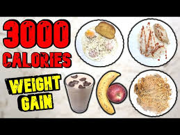 3000 calorie meal plan for skinny guys