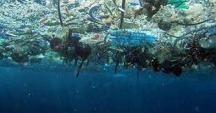 Resultado de imagen de plastico en los mares