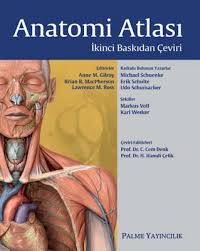 The muscles are attached to bones at each end by. Pdf Atlas Of Anatomy Gilroy 2nd Edition Turkish Translation