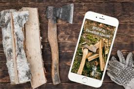 Best Firewood For Your Wood Stove So You Dont Need To Keep