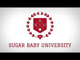 How Much Sugar Babies Make From Sugar Daddies Money