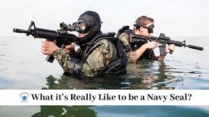life as a navy seal empire resume