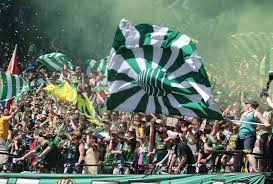 portland timbers at providence park