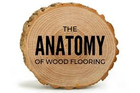 the anatomy of wood flooring quality