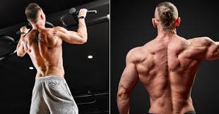 calisthenics back workout for size and