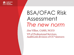 • template overview & definitions. Bsa Ofac Risk Assessment The New Norm Ppt Download