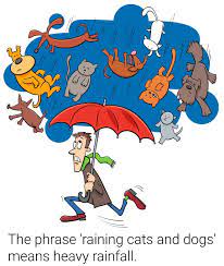 Some suggest that it goes. Raining Cats And Dogs Idiom Meaning Origin Examples