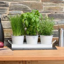 Metal Plant Pots With Drip Tray