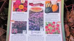 A Chuckle In Every Catalog Finegardening