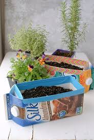 diy milk carton herb gardens tutorial