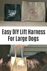 diy lift harness for large dogs my