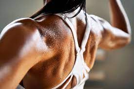back and bicep workout guide how to