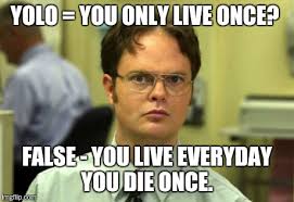 Image result for Yolo You
