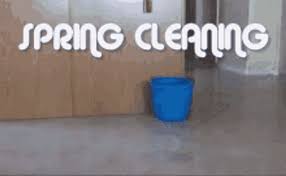 dog spring cleaning with mops gif