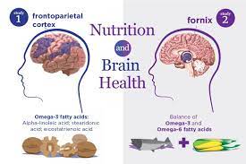 Omega 3 Fatty Acids Benefits For Brain gambar png