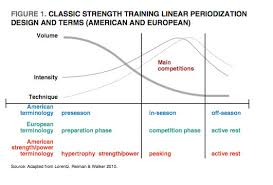 Resistance Training Periodization In Women New Insight For