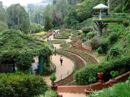 botanic gardens in asia botanical art