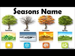 learn seasons name season in the year