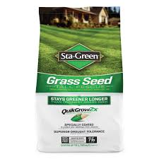 sta green 7 lb tall fescue gr seed