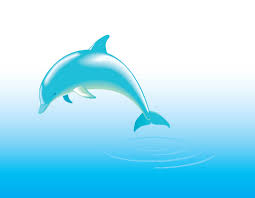 free dolphin vector vector art
